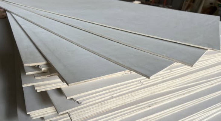 Ván ép bạch dương (Poplar Plywood) là gì? Phân loại và Công dụng